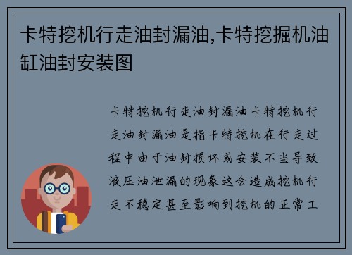 卡特挖机行走油封漏油,卡特挖掘机油缸油封安装图