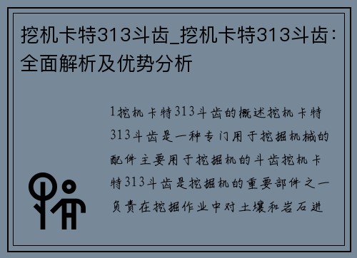 挖机卡特313斗齿_挖机卡特313斗齿：全面解析及优势分析